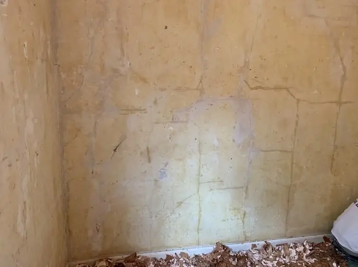 Corner of a yellowish plaster wall with peeling paint and debris—brown leaves along the baseboard edge.